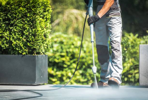 Best Dumpster Area Cleaning  in Weston, FL